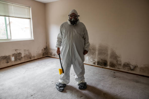 Best Mold Prevention Services  in Athena, OR